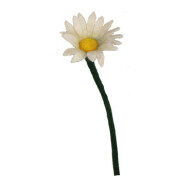 Filzblume G&auml;nsebl&uuml;mchen wei&szlig;