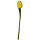 Filz Tulpe 40cm gelb/wei&szlig;