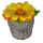 Filz Blumentopf gelb