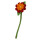 Filzblume Vergissmeinnicht rot/orange